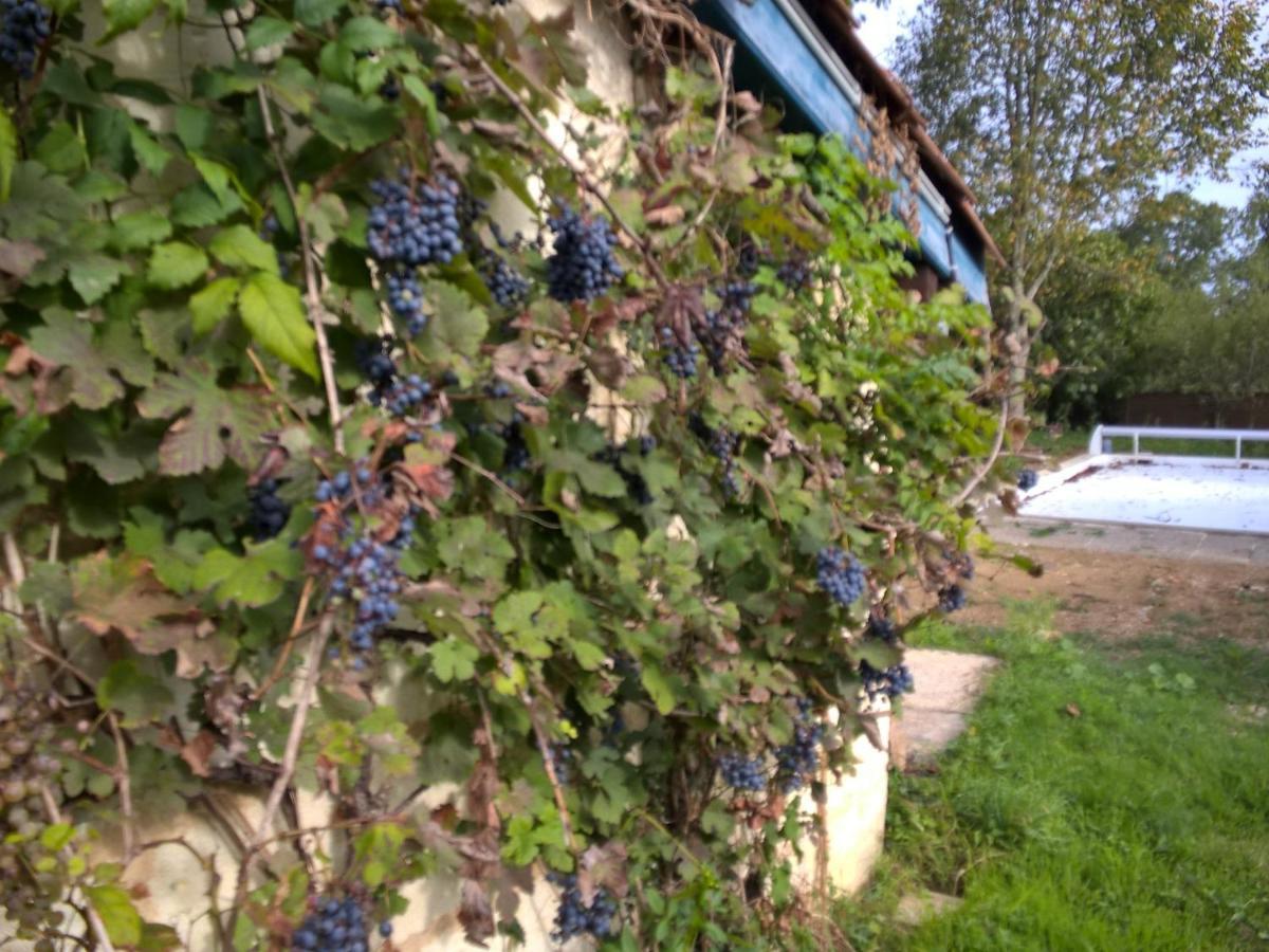 Nicely Renovated Wine-Grower House Fargues-Saint-Hilaire Екстериор снимка